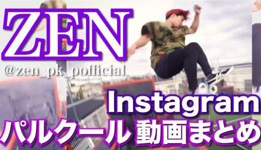 ZEN Instagram Compilation 【インスタグラム動画集2017】