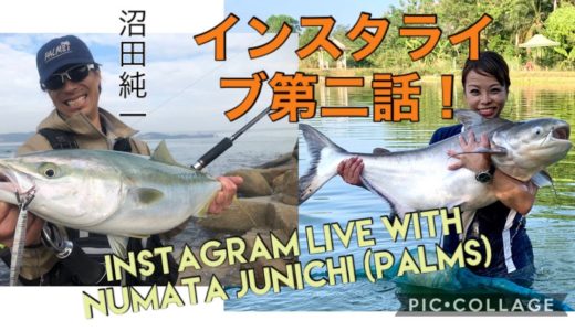 【パームス】沼田純一とインスタグラムライブ配信！ショアジギングとピーコックバス - Instagram LIVE with Shore Jigging legend, Numata Junichi!