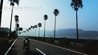 【日本のカルフォルニア】伊豆・伊東の海岸沿いが最高に気持ちよかった！伊豆スカ爆走ツーリングLast
