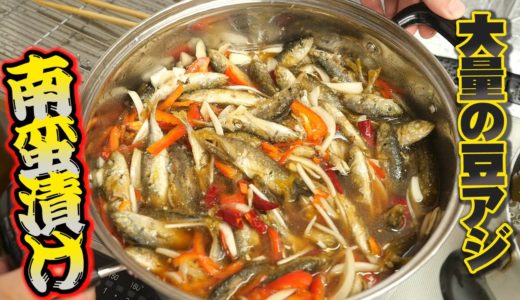 安すぎる魚を救いたい。揚げたて小魚を甘酢に一晩漬けて作る[南蛮漬け]で松岡さんと晩酌！