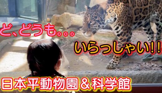 今回の日本平動物園は一味違った！！子供が喜ぶ素敵なスポットにも行ってきました！3歳児男女双子＆生後4ヶ月赤ちゃんとお出かけ！