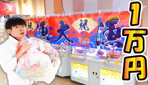 【１万円】お菓子クレーンゲーム商店街は取りやすい!?THE 3RD PLANET フレスポ八潮店