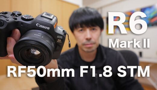 【EOS R6 MarkⅡ使用】RF50mm F1.8 STMレビュー【作品解説】