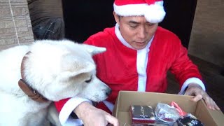 1万円の犬用クリスマス年越し５点セットを開封します！