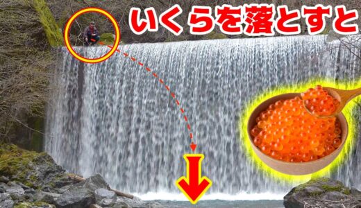 【日本釣り旅#3】大滝に下に高級食材のイクラを落としてみると・・・